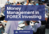 Money Management in FOREX Investing