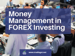 Money Management in FOREX Investing