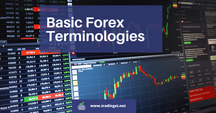Basic Forex Terminologies