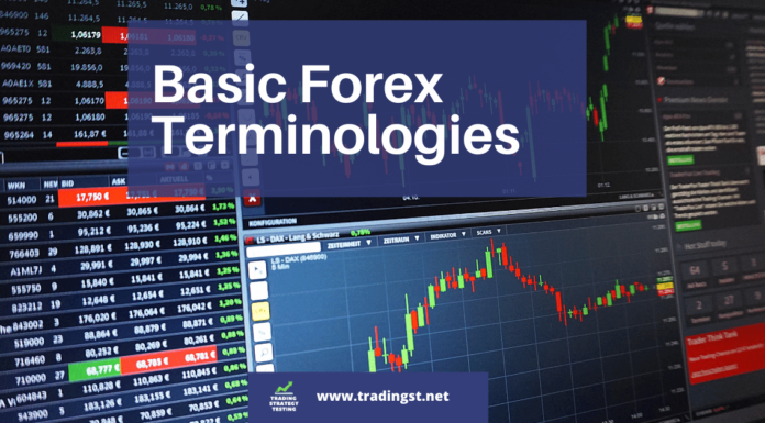 Basic Forex Terminologies