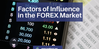 Factors of Influence in the FOREX Market