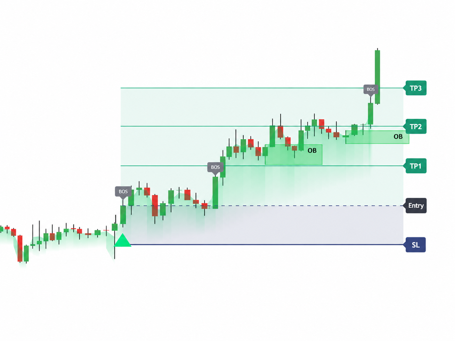 TST Nexus result chart